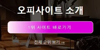 오피가이드 1
